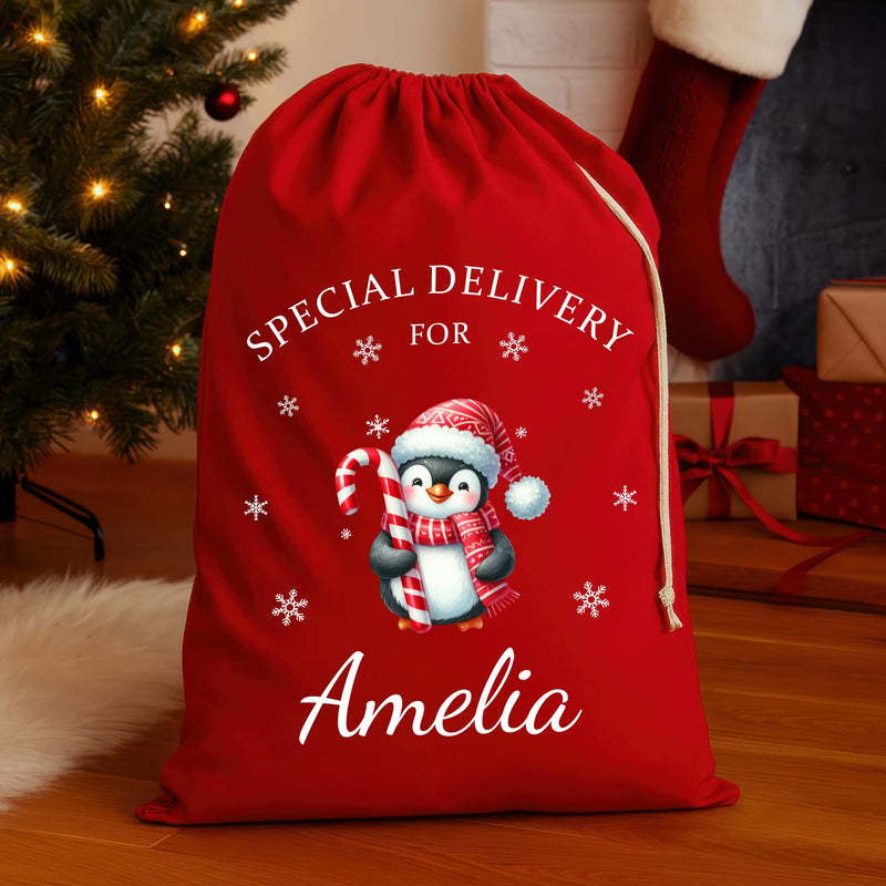Personalised Penguin Santa Sack for Kids with Name