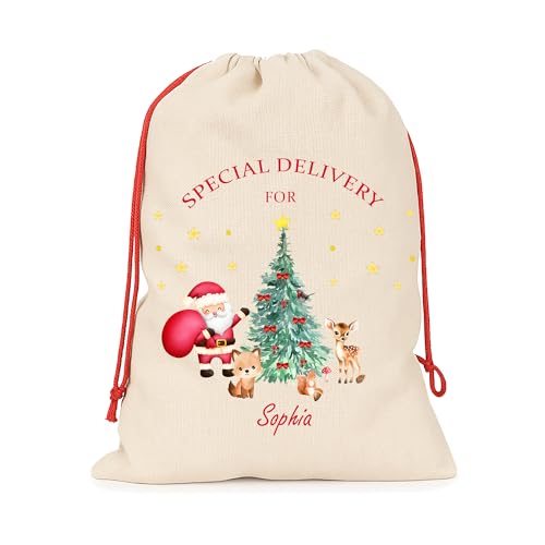 Personalised Cream Woodland Santa Santa Sack with Name product image