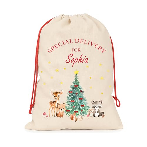 Personalised Natural Woodland Animals Santa Sack with Name product image