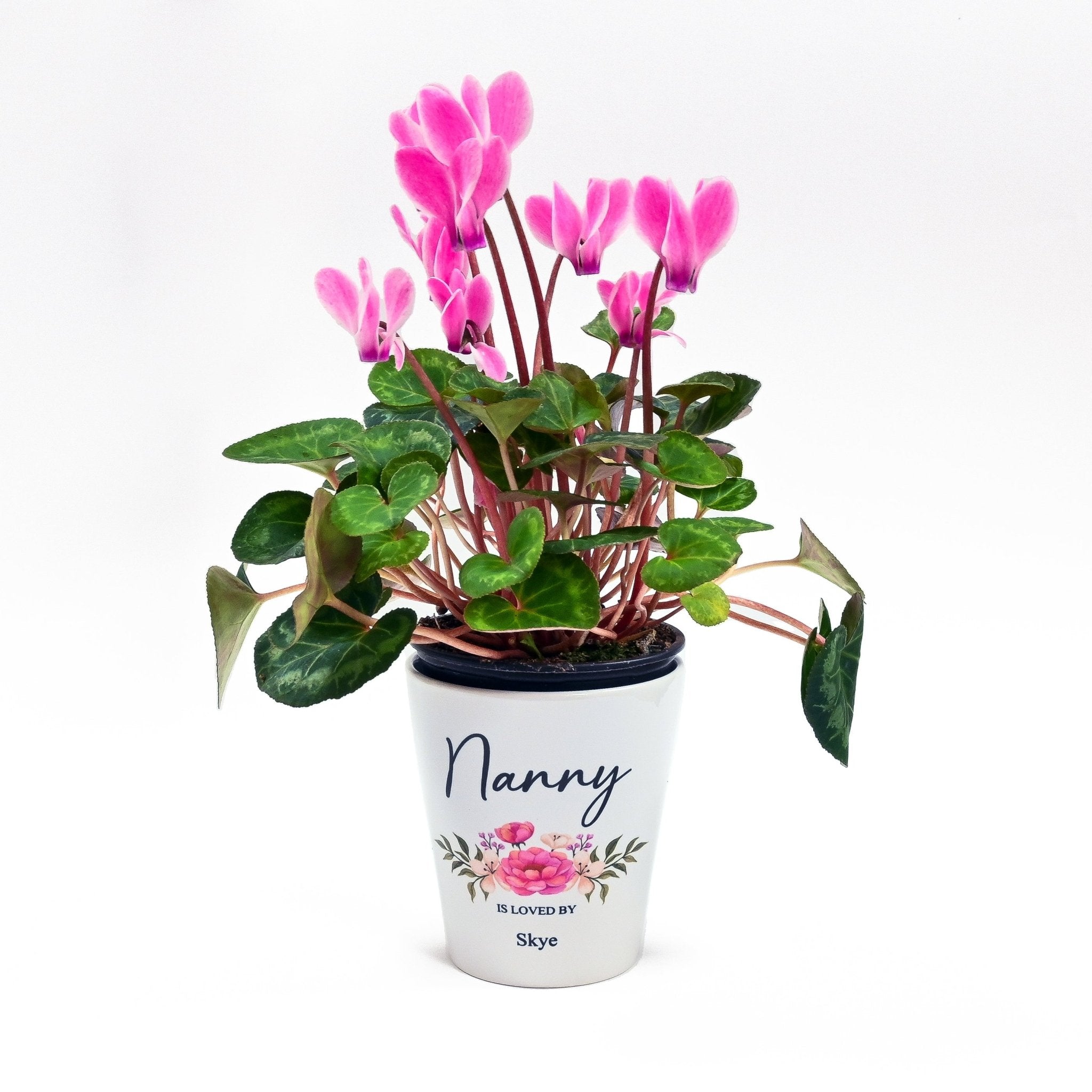 Personalised Mother's Day Flower Pot - Nanny - Chicken Craft Ltd