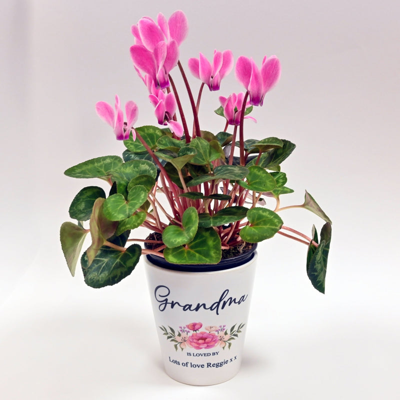 Personalised Mother's Day Flower Pot - Nanny - Chicken Craft Ltd