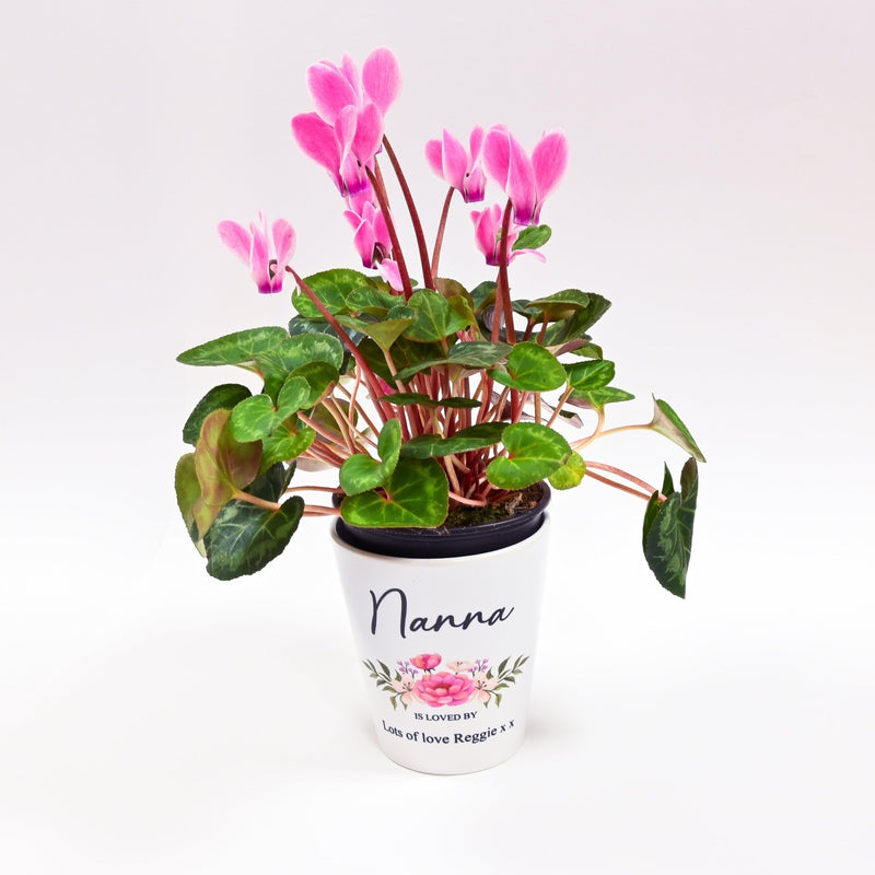 Personalised Mother's Day Flower Pot - Nanny - Chicken Craft Ltd